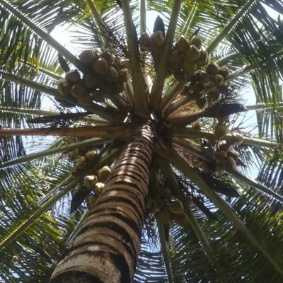 ajimenez256's profile picture. 