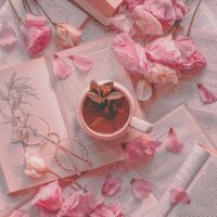 πβοΈπ« || break (@lazydaisysshop) 's Twitter Profile