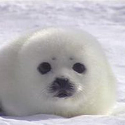 sm13179305's profile picture. 最近recursionで勉強中です。
情報収集用。