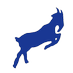 Williamsville South Varsity Flag Football (@willsouthflag) Twitter profile photo Williamsville South Varsity Flag Football (@willsouthflag) Twitter profile photo