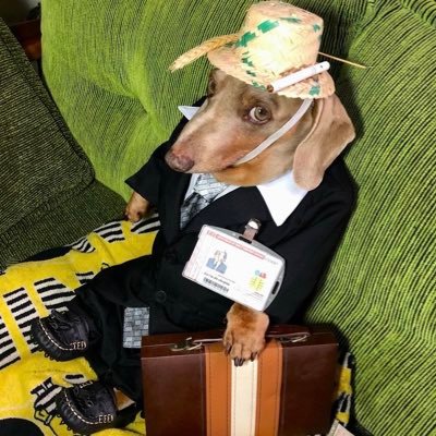 Luanviniicios's profile picture. 