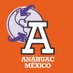 Internacionalización Universidad Anáhuac México (@AnahuacGlobal) Twitter profile photo