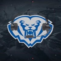 HSE Esports (@hseesports) Twitter profile photo