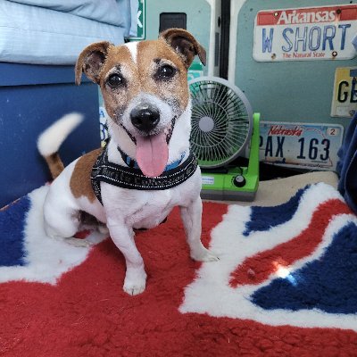 nuttzuk's profile picture. Love being outdoors and with my dogs, Guiding and BCAFC.