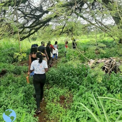 diram460's profile picture. Agroecologist||
Environmental conservation||
women and youth empowerment||
Daughter of the North 🇪🇹||
For me to live is Christ♥️||