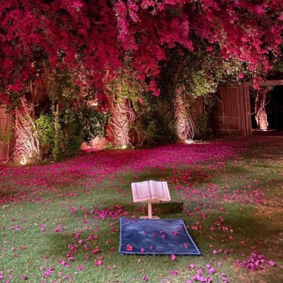 كلُّ مُتعلقٍ بغيرِ اللَّه مَخذول، ومَن تَعلق باللَّه نَجا✨ سبحان الله وبحمده .. سبحان الله العظيم 🌴