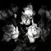 JeezBeez (@jbztweet) Twitter profile photo JeezBeez (@jbztweet) Twitter profile photo