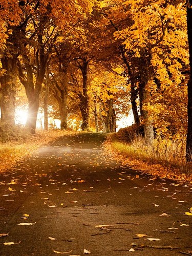 bestillandknoww's profile picture. 