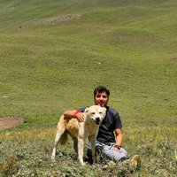 Aditya Chouhan (@_adityachouhan) 's Twitter Profile