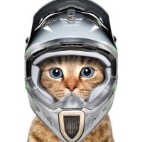 Studio Cat(@StudioCat5) 's Twitter Profile Photo