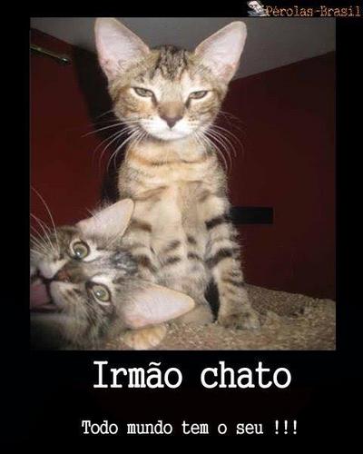 ññ se iludii no meu sorisso, ele pode tte daar problemÁs , hahaღ ♪