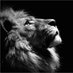 Pori (@Philipo_Bethuel) Twitter profile photo Pori (@Philipo_Bethuel) Twitter profile photo