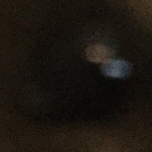 Jamie23995's profile picture. 