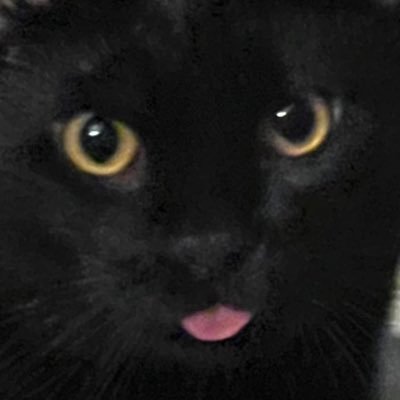 tallyvhs's profile picture. dr pepper addict and silly little guy