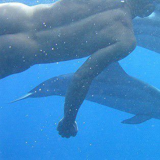 Wermut010's profile picture. 