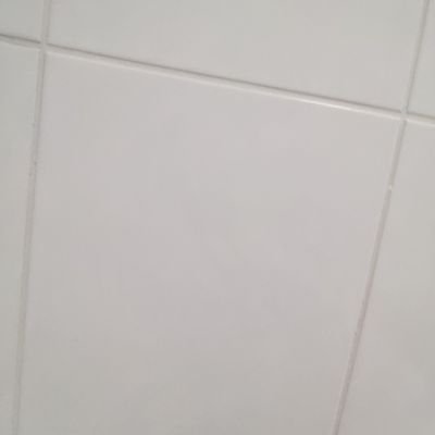 benjjess's profile picture. 