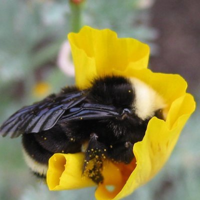 Beeyore5555's profile picture. Work, mind my own business, mommy