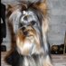Lola (@lolatep) Twitter profile photo Lola (@lolatep) Twitter profile photo
