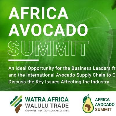 AvocadoAfrica's profile picture. The Avocado show is an event that brings together people from across Africa and the international  stakeholders to share ideas about the future of the industry