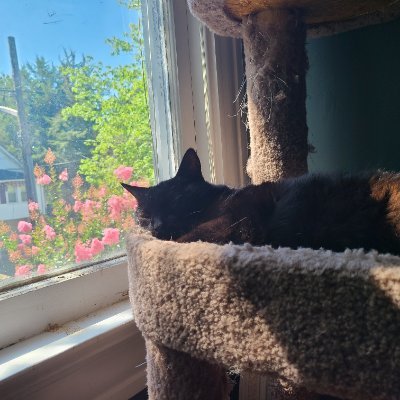 makimamoochie's profile picture. @makimamoochie joined twitter in 2013. Chainsaw man manga debuted in 2018. She's named after ~me~
Phantom Menace is best SW movie, fight me