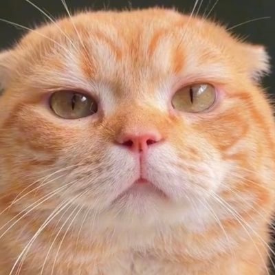 JD_89さんのプロフィール画像