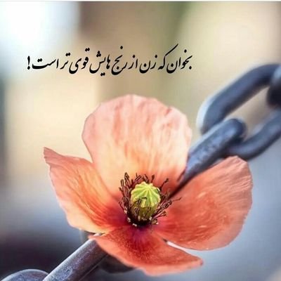 میبینم آن شکفتن شادی را🌹

فارغ ازهرزنده بادومرده باد،، سربه راه مملکت بایدفتاد