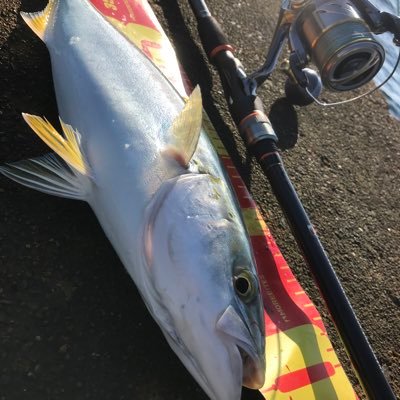 kium_q's profile picture. バイク初心者 2024年8月15に夢の五島列島に移住してきた18歳です！ホテルで働いております。釣りはトップ投げたりエギングしたりアジングしたりクエ釣ったりマッジでいろんな釣りしてます五島に住んでる人大歓迎ですよろしくお願いします！