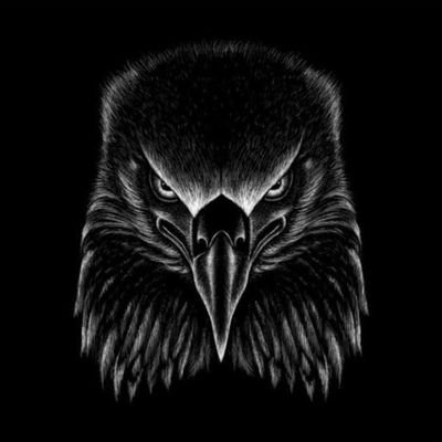 RobloxAccounts0's profile picture. 