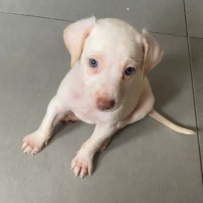 Informe171's profile picture. 