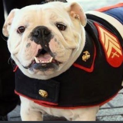 Marine Corp Veteran