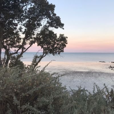 Infirmière DE HPAP retraitee
Pour que la France reste la France