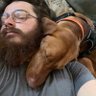 HippieScame's profile picture. 5555 Hexican Hex Pulsechain PulseX Be there or be square. stake and relax. big things are coming