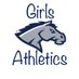 PVMS_GirlsAthletics (@PVMustangSports) Twitter profile photo