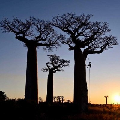 Itz_BigDream's profile picture. Let's keep it professional