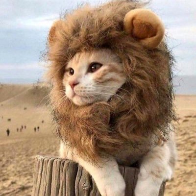 IBamber's profile picture. Product Leader - Fintech. Payments, Open Banking