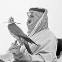 محسن الشيباني (@_mm) Twitter profile photo