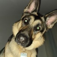 Jerry (@jerryspix) 's Twitter Profile