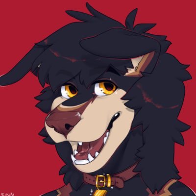 FinnFinnyさんのプロフィール画像