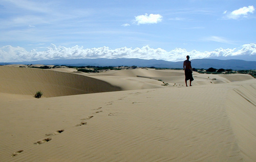 SDSalesRep's profile picture. 