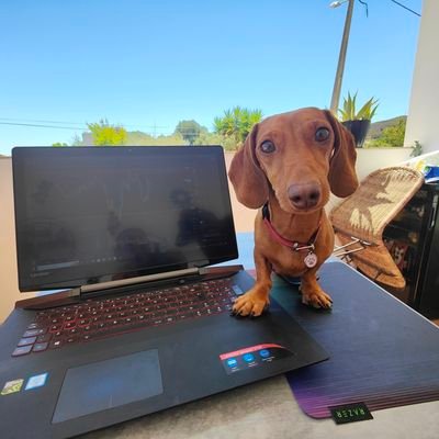 ShufunkDNB's profile picture. Investor / Legend / Unexplained