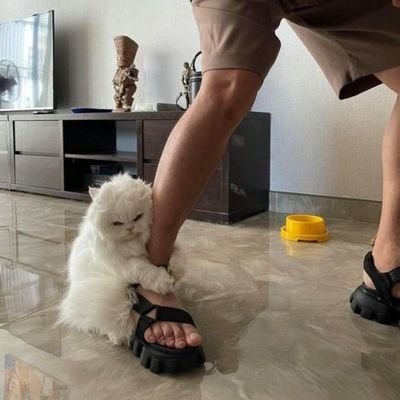 valerieiver's profile picture. 😈