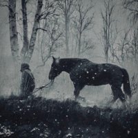 عمرو (@rixtrayker) Twitter profile photo