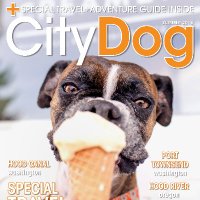 CityDog Magazine (@citydogmagazine) Twitter profile photo