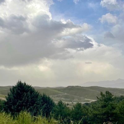 farnooshhoseini's profile picture. 