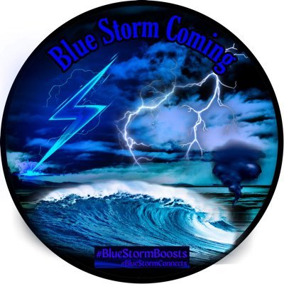 💙#BlueBoosts 💙#BlueConnects #BlueStorm 🤗🌪No DM. #Boosts 💙 #BlueWave2022 #VoteBluetosaveDemocracy 🌊🤗❤️# 🌊💙 🌻Music🎶Animals🐈‍⬛History🤷🏻‍♀️🌈
