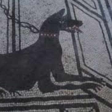かえる・るーら（猛犬注意）さんのプロフィール画像