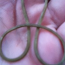 callum grant brooks - @callumgrantbroo - Twitter