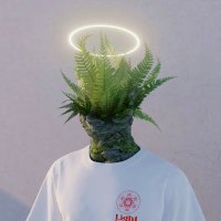 Teddy (@teddyroosevalt) 's Twitter Profile Photo Teddy (@teddyroosevalt) 's Twitter Profile Photo