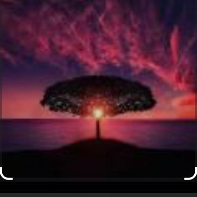 mhmt_hcylmz's profile picture. 