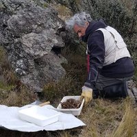 Martín Ramírez (@spidermartinr) Twitter profile photo